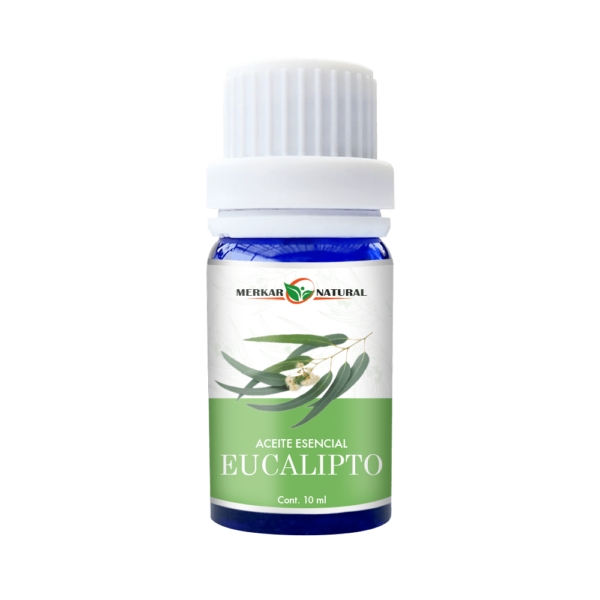 10 ML Eucalipto