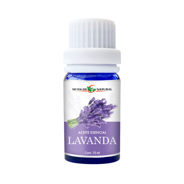 10 ML Lavanda