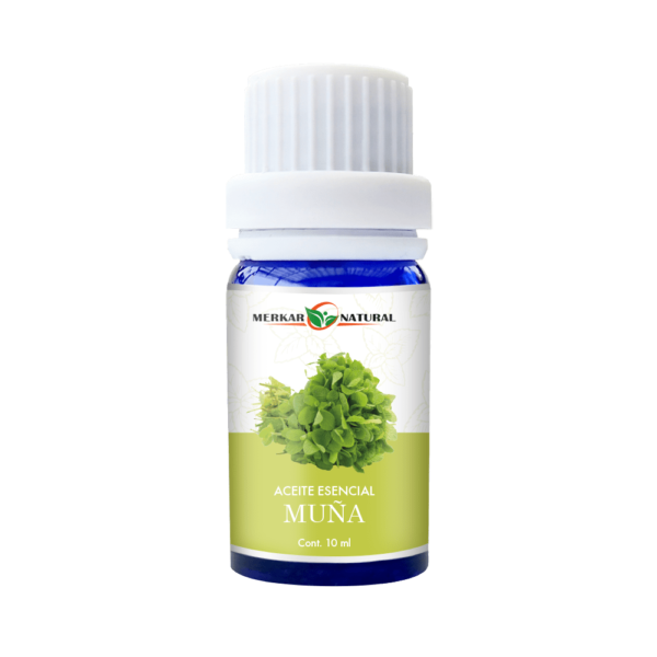 10 ML Muña